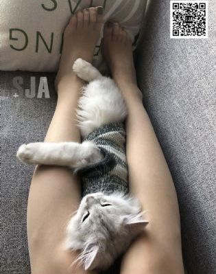 国产西地那非多少钱一盒正品_超清在线观看电视